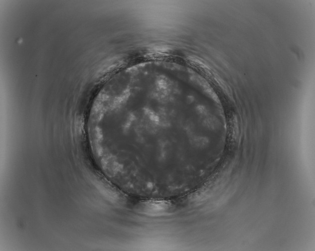 X0000112070711200909011023