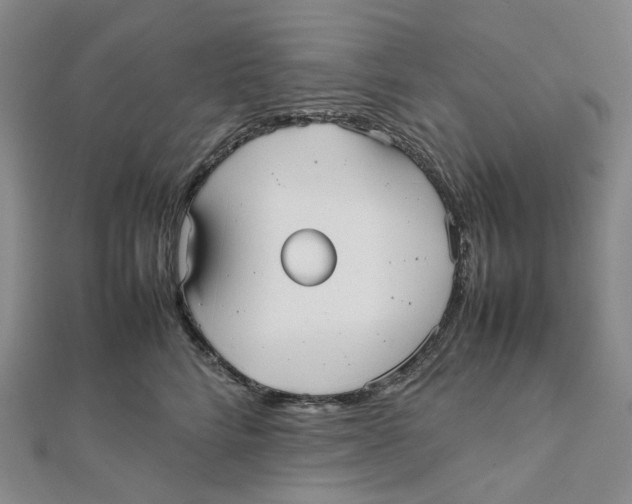 X0000112070712200909011023