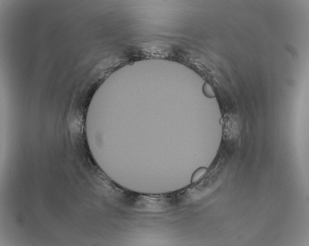 X0000112070713200909011023