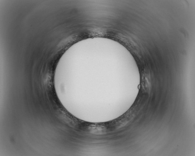 X0000112070714200909011023