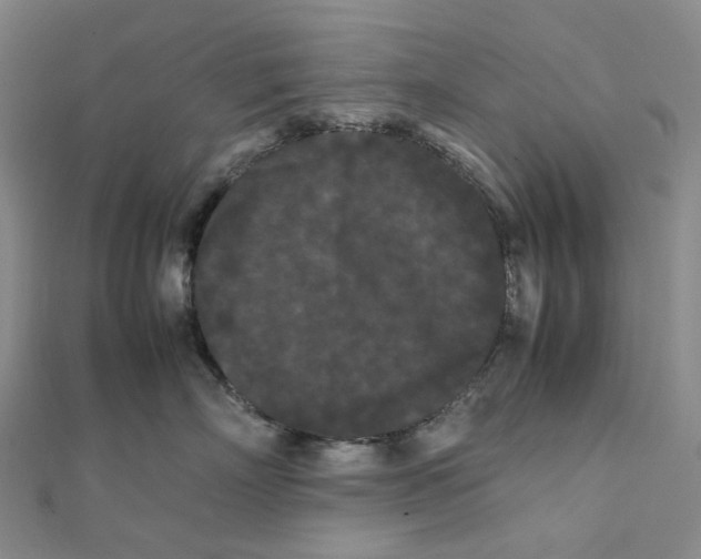 X0000112070718200909011023