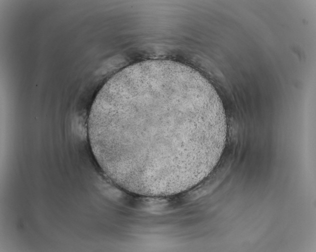 X0000112070719200909011023