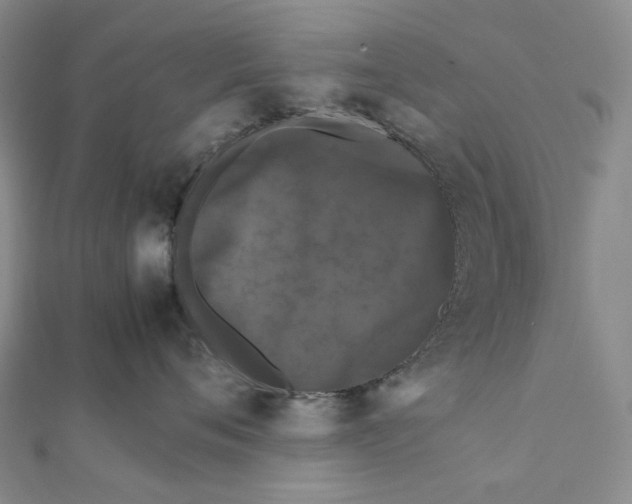 X0000112070720200909011023