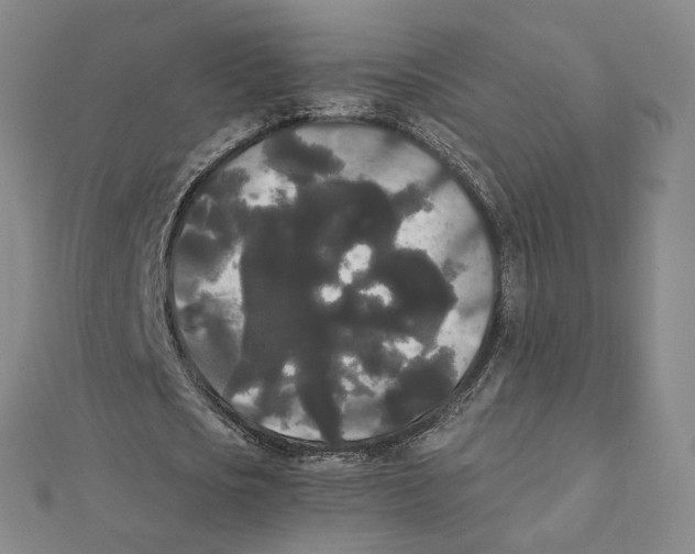 X0000112070721200909011022