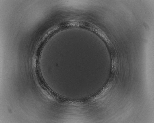 X0000112070722200909011022