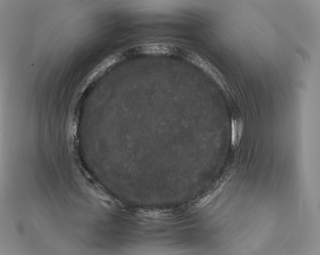 X0000112070723200909011022