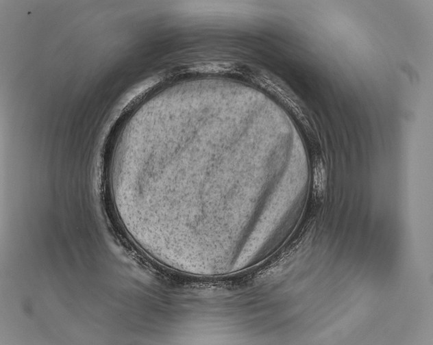 X0000112070724200909011022