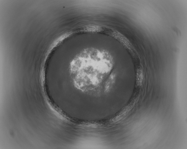 X0000112070726200909011022