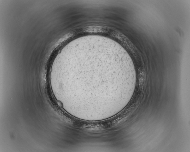 X0000112070727200909011022