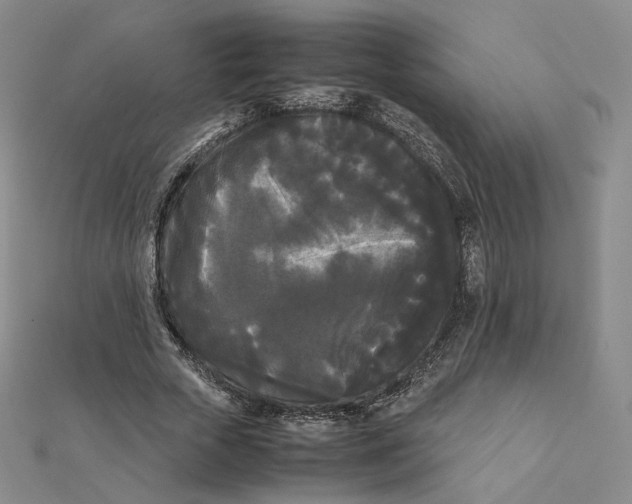 X0000112070729200909011022