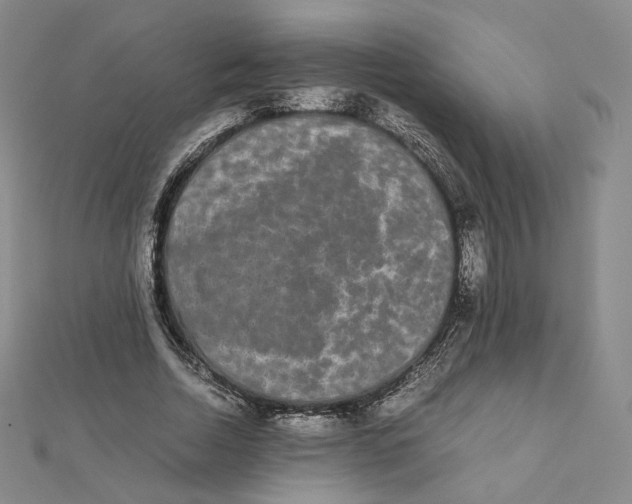 X0000112070730200909011022