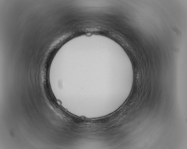 X0000112070732200909011022
