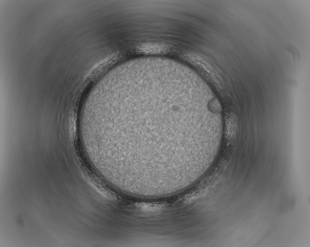 X0000112070733200909011022