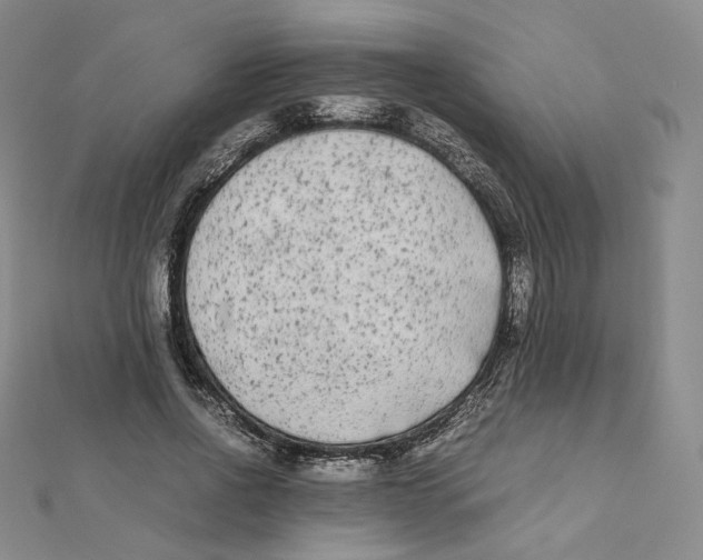 X0000112070734200909011022