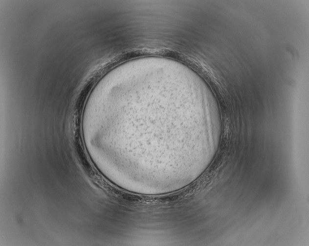 X0000112070736200909011022