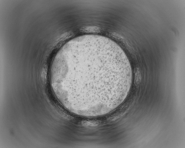 X0000112070739200909011022