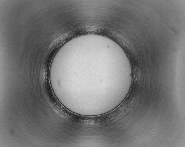 X0000112070740200909011022