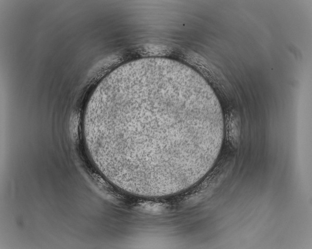 X0000112070742200909011022