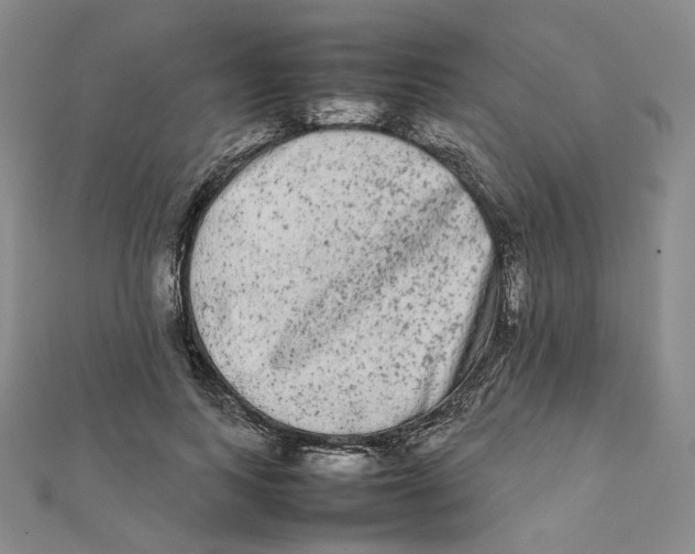 X0000112070743200909011022