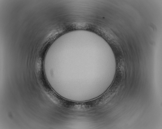 X0000112070744200909011022