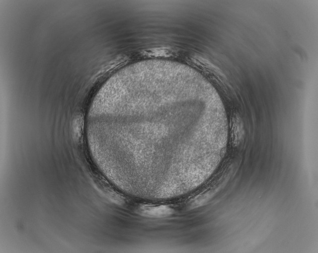 X0000112070747200909011022