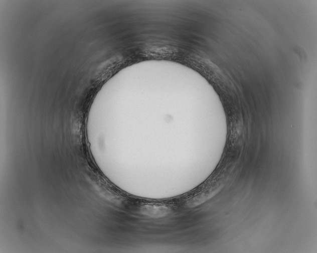 X0000112070749200909011022