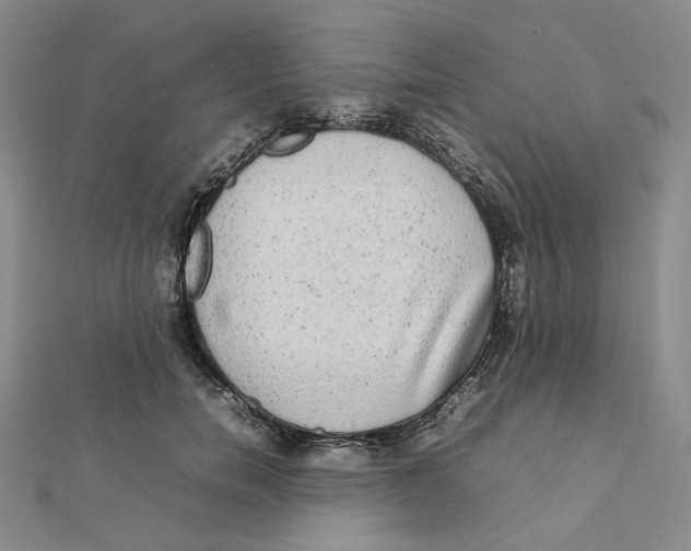 X0000112070750200909011022