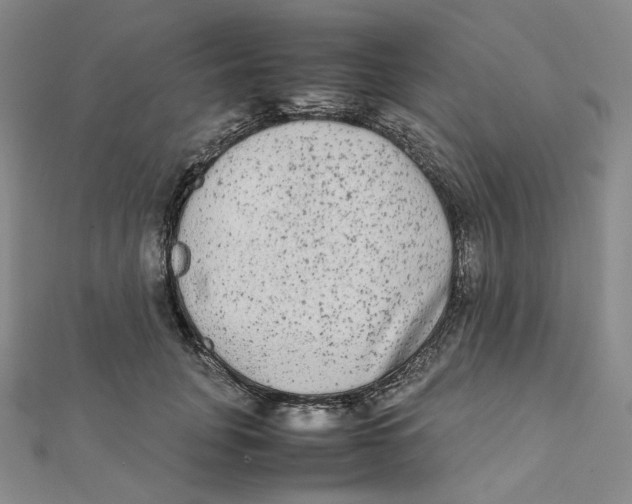 X0000112070751200909011022