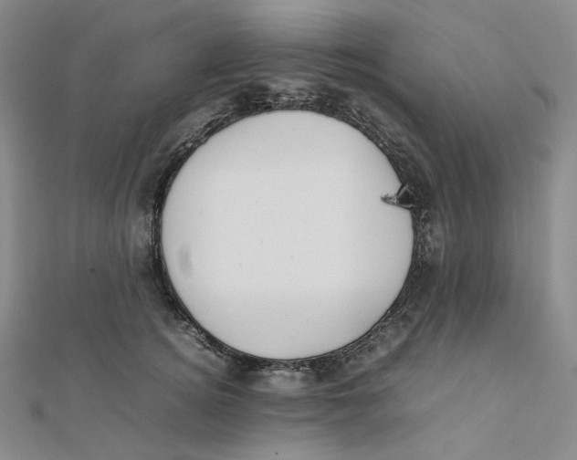 X0000112070756200909011023