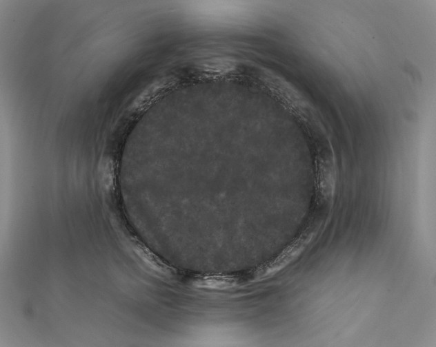 X0000112070758200909011023