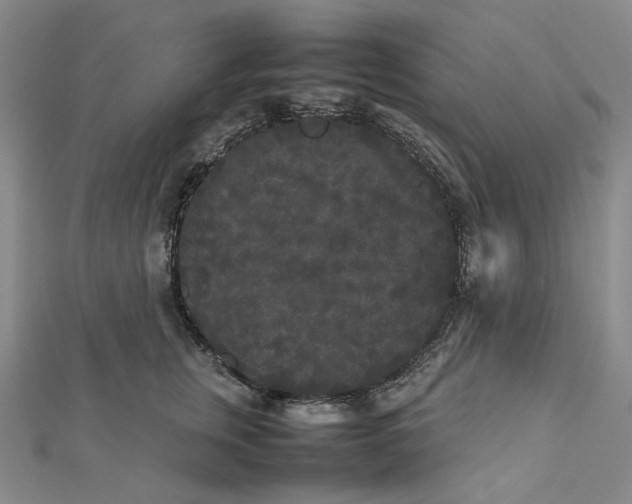 X0000112070759200909011023