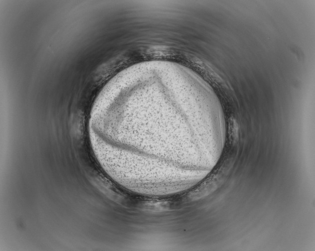 X0000112070760200909011023