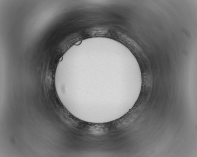 X0000112070761200909011023