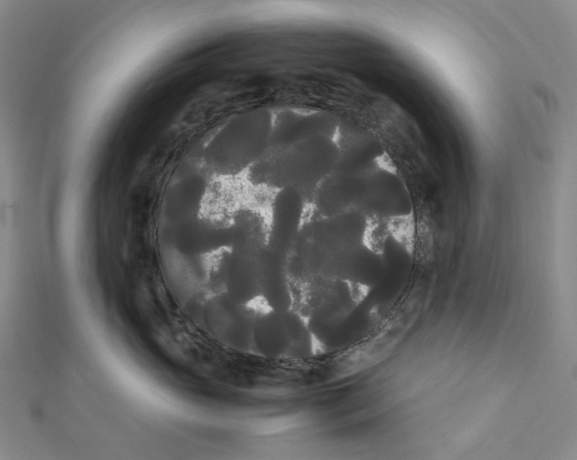 X0000112070765200909011023