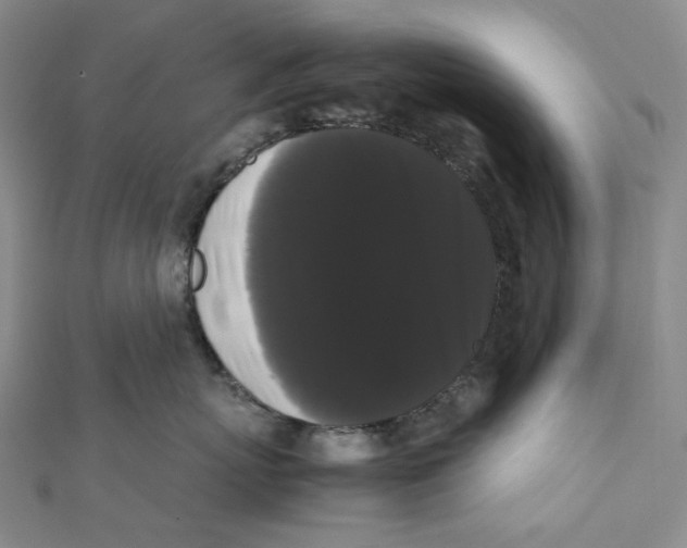 X0000112070767200909011023