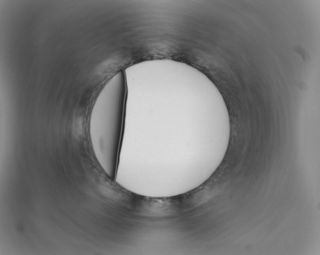X0000112070768200909011023