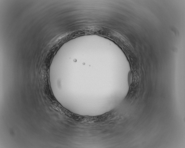 X0000112070773200909011022