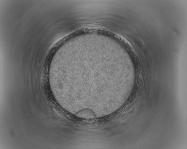 X0000112070775200909011022