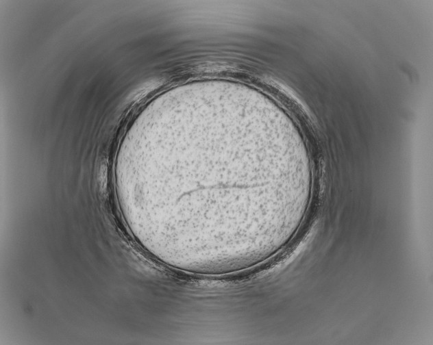 X0000112070777200909011022