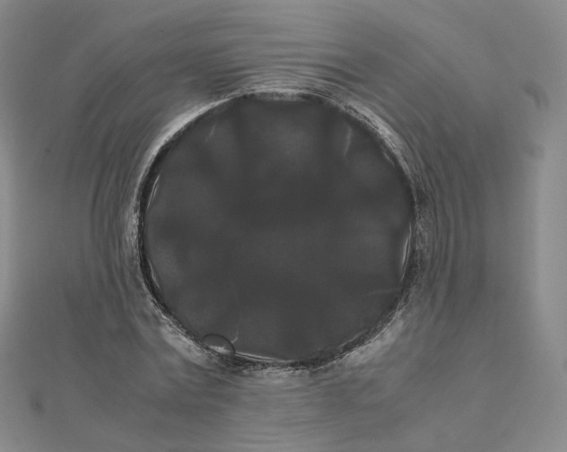 X0000112070779200909011022