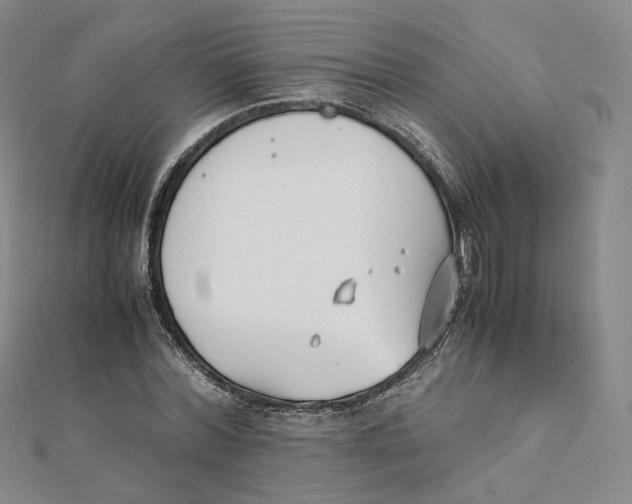 X0000112070780200909011022