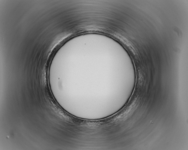 X0000112070782200909011022