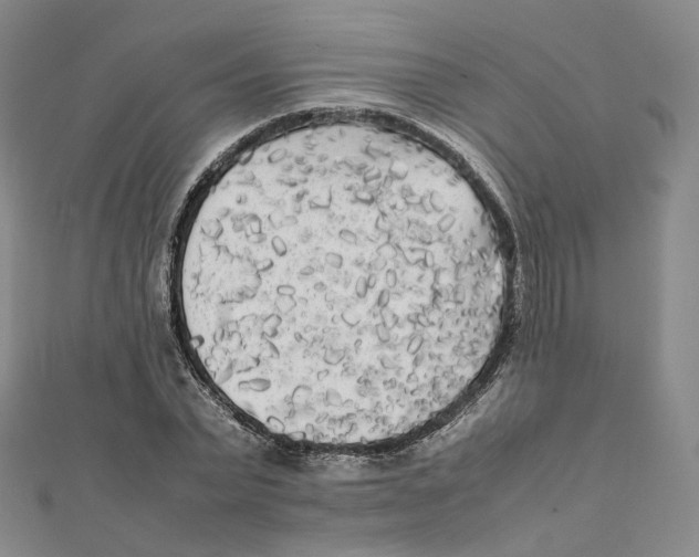 X0000112070783200909011022