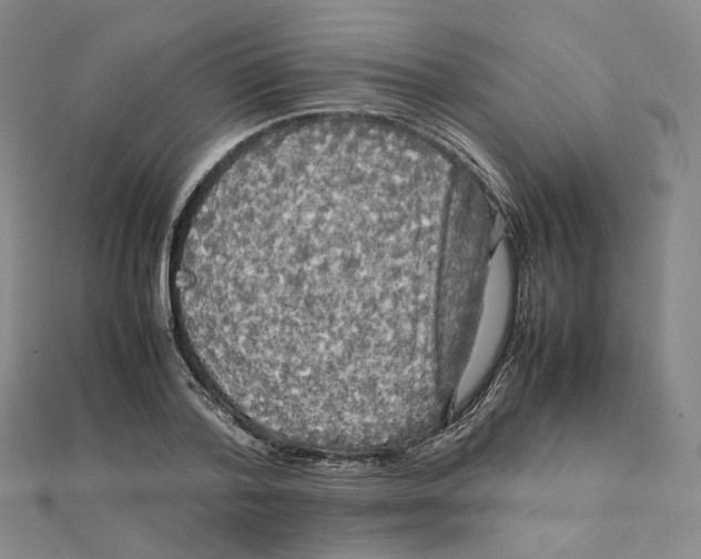 X0000112070788200909011022