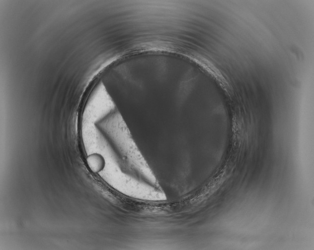 X0000112070790200909011022