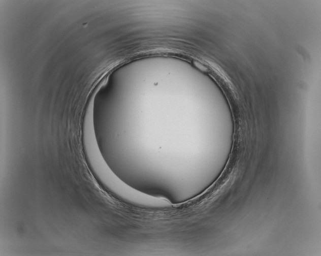 X0000112070793200909011022