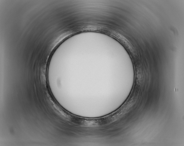 X0000112070794200909011022