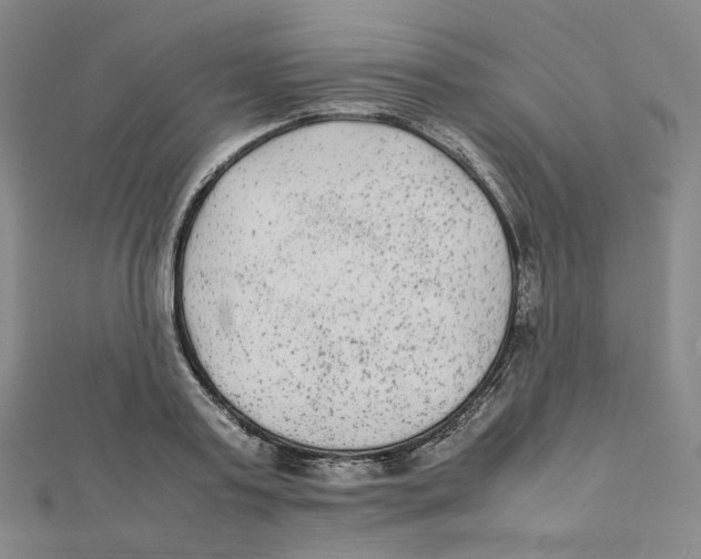 X0000112070795200909011022
