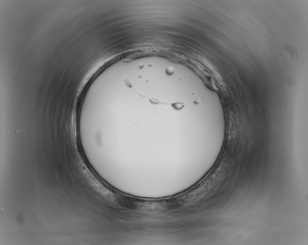 X0000112070796200909011022