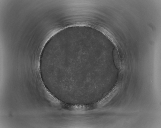 X0000112070797200909011022